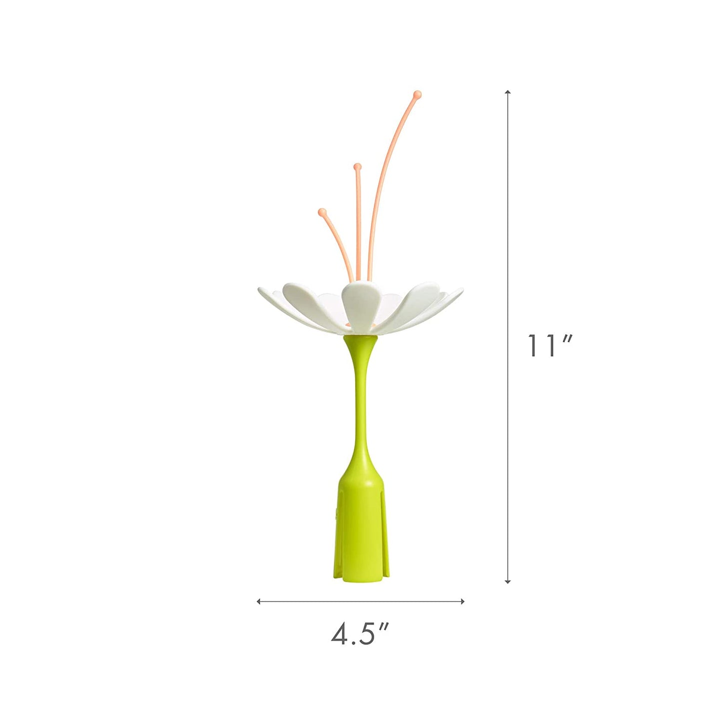 stem